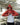 Essential Hoodie